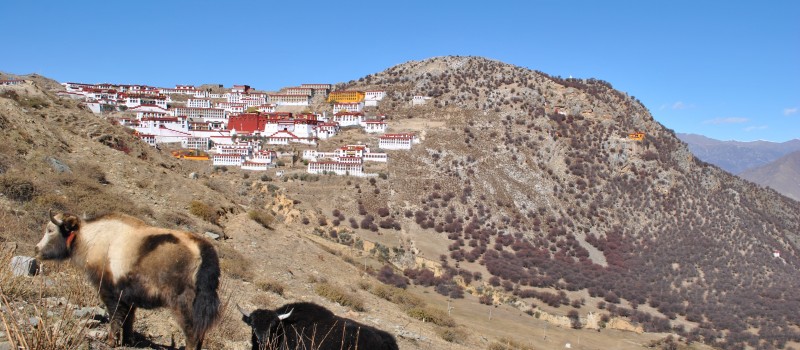 Ganden Samye Trekking Tour – 12 Days